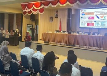 Dorong Literasi dan Inklusi Keuangan Luwu Raya Melalui Kolaborasi Banyak Pihak