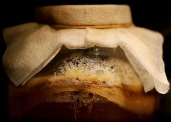 Manfaat dan Risiko Teh Kombucha Minuman Fermentasi yang Semakin Dikenal