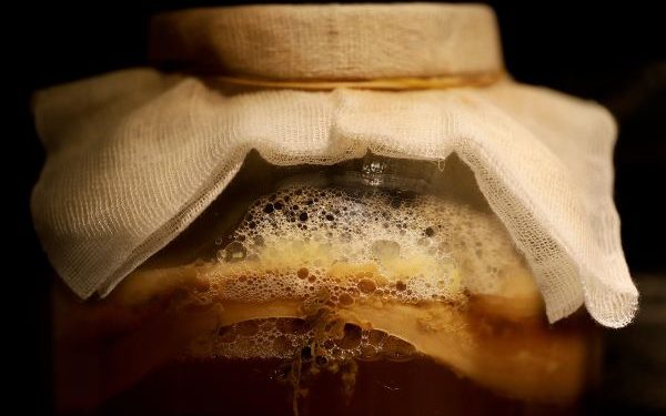 Manfaat dan Risiko Teh Kombucha Minuman Fermentasi yang Semakin Dikenal