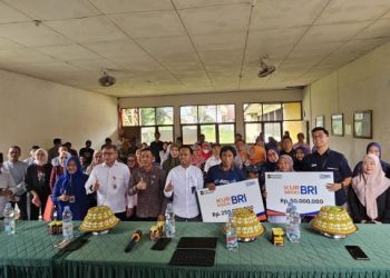 OJK dan Pemkab Sinjai Gelar Edukasi Keuangan untuk Pelajar dan UMKM