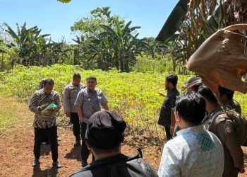 Makassar Siap Membangun 20 Hektare Lahan di Manggala untuk Ruang Publik dan Olahraga