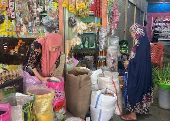 Pemerintah Hapus Label Premium-Medium Ganti Menjadi Beras Umum dan Khusus