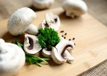Kaya Protein dan Rendah Kalori, Inilah Manfaat Jamur untuk Kesehatan Tubuh