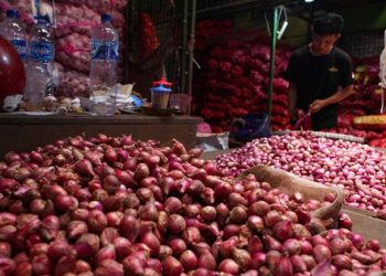 Harga Bawang Merah Naik di 300 Daerah, Penyebab Utama Inflasi