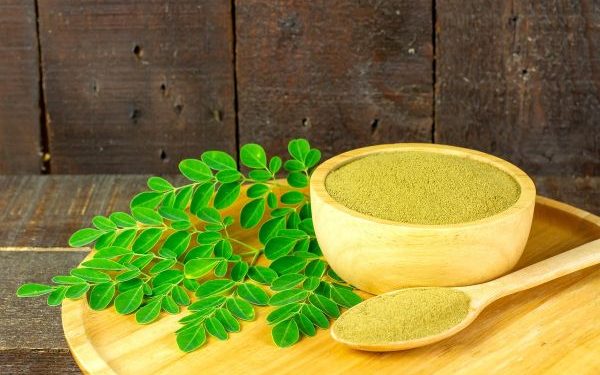 Khasiat Luar Biasa Daun Kelor untuk Kesehatan Selain Sayur Bening