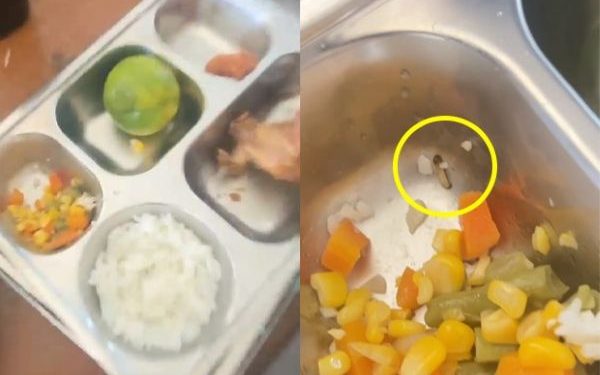 Evaluasi Menu MBG Pasca Temuan Ulat Sayur di MAN 3 Makassar