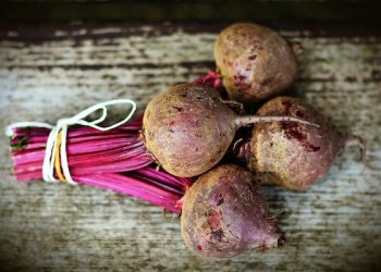 Buah Bit Dapat Redakan Peradangan dan Cegah Terjadinya Pikun