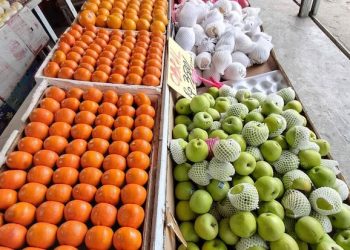 Musim Hujan Tiba, Ini 7 Buah untuk Meningkatkan Daya Tahan Tubuh