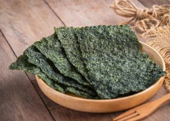 Manfaat Nori Sebagai Rumput Laut Kaya Nutrisi untuk Gaya Hidup Sehat
