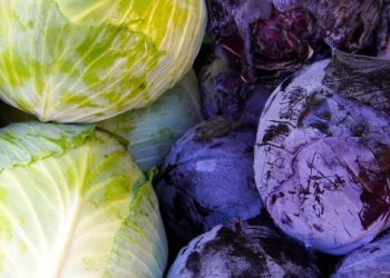 Alasan Kol Penting di Menu Ibu Hamil Selain Hanya Sebagai Lalapan