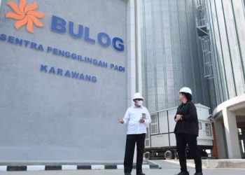 Sentra Penggilingan Padi di Luwu Didirikan Bulog untuk Menjaga Produksi Gabah Lokal