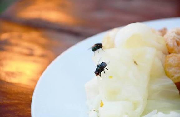 Imbauan Puskesmas Kaluku Bodoa untuk Masyarakat Jaga Kebersihan Makanan