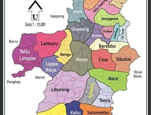 Bone Selatan Masuk 32 Daerah Prioritas Pemekaran Menurut Taufan Pawe