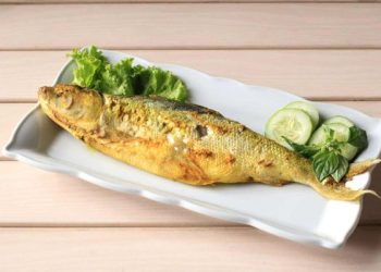 Manfaat Kesehatan Ikan Bandeng yang Gurih dan Lezat Selain Rasanya
