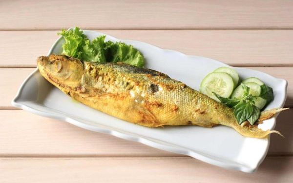 Manfaat Kesehatan Ikan Bandeng yang Gurih dan Lezat Selain Rasanya