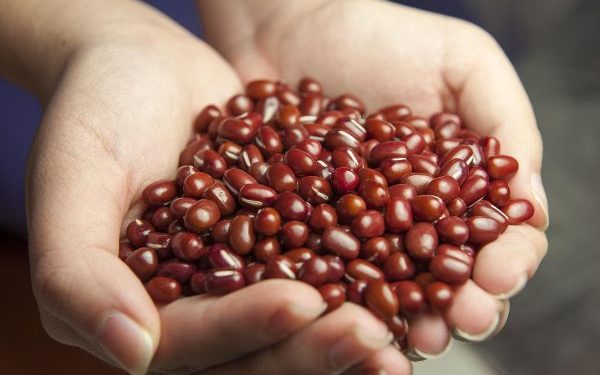 Beragam Manfaat Kacang Merah Kaya Nutrisi untuk Kesehatan Tubuh