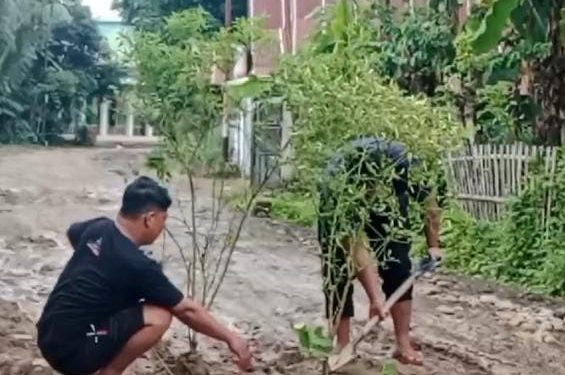 Warga Takalar Tanam Pohon di Jalan Rusak Setelah Puluhan Tahun Tidak Diperbaiki