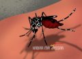 Musim Hujan, Dinkes Imbau Warga Waspada Penyakit Tular Nyamuk di Sulbar