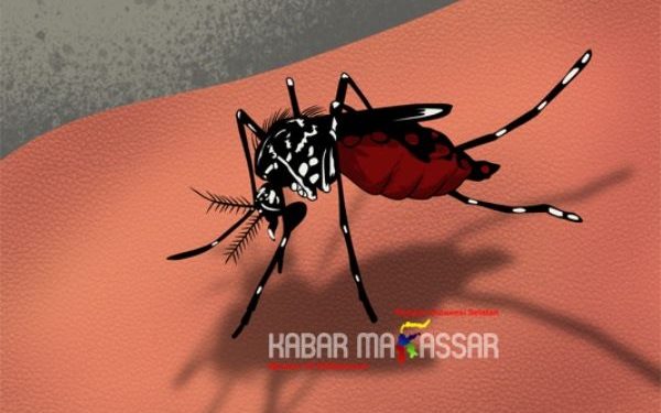 Musim Hujan, Dinkes Imbau Warga Waspada Penyakit Tular Nyamuk di Sulbar