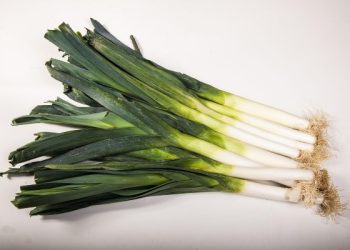 Manfaat Sehat Daun Bawang yang Harus Diketahui dari Dapur