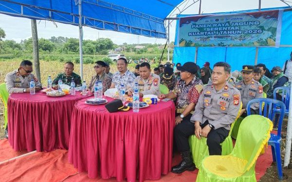 Dukung Swasembada Pangan Kapolres Jeneponto Hadiri Panen Raya Jagung
