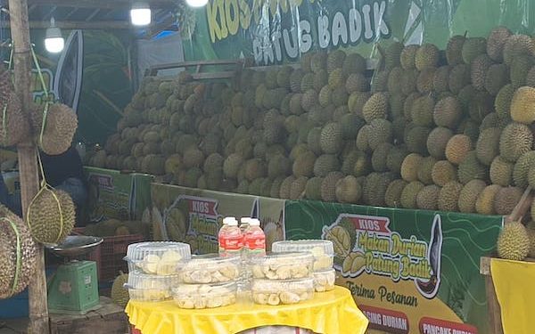 Musim Durian di Sulsel, Banyak Manfaat tapi Risiko Konsumsi Berlebihan