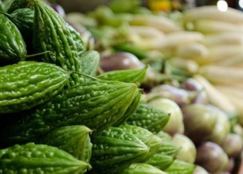 Ragam Manfaat Kesehatan di Balik Rasa Pahit Pare